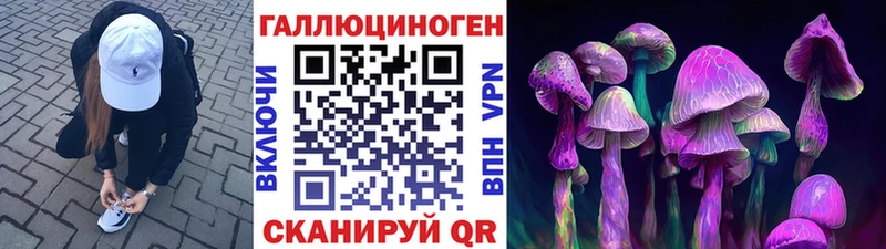 сколько стоит  Сухиничи  Псилоцибиновые грибы мухоморы 